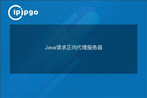 Java Request Forward Proxy Server - IPIPGO