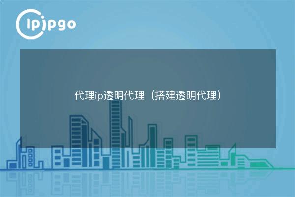 Transparent Ip Proxy ip transparent proxy (build transparent proxy) - IPIPGO