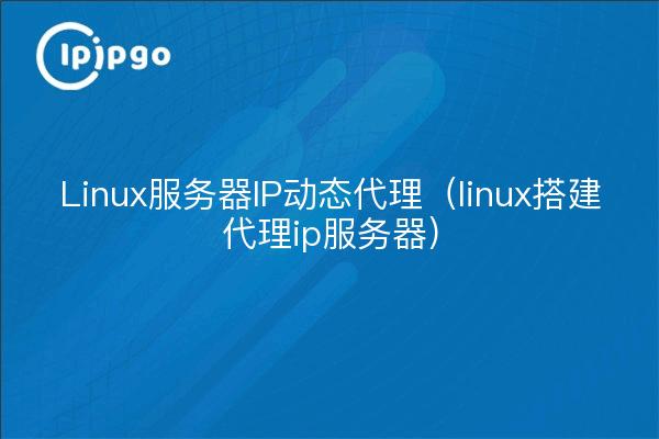 Linux服务器IP动态代理（linux搭建代理ip服务器）