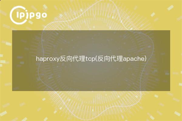 haproxy reverse proxy tcp (reverse proxy apache) - IPIPGO