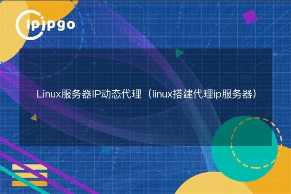 Linux server IP dynamic proxy (linux build proxy ip server) - IPIPGO