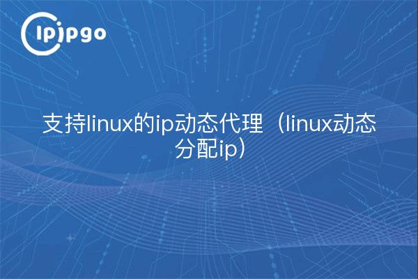 支持linux的ip动态代理（linux动态分配ip）