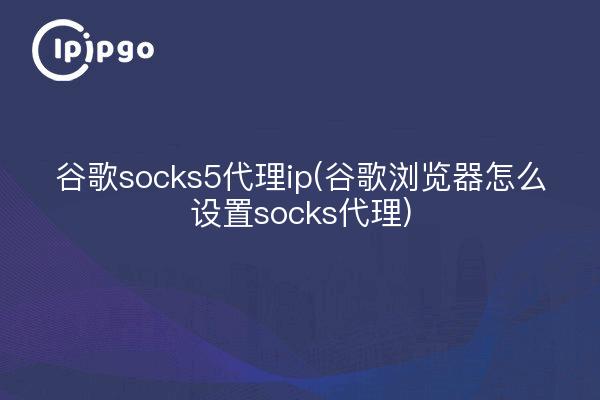 谷歌socks5代理ip(谷歌浏览器怎么设置socks代理)