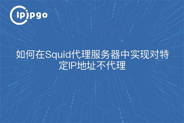 如何在Squid代理服务器中实现对特定IP地址不代理
