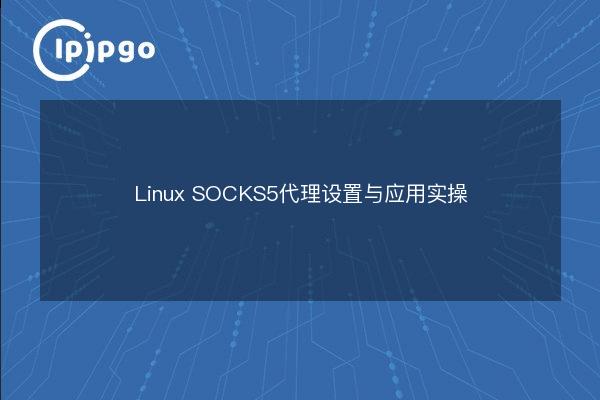 Linux SOCKS5代理设置与应用实操 - IPIPGO