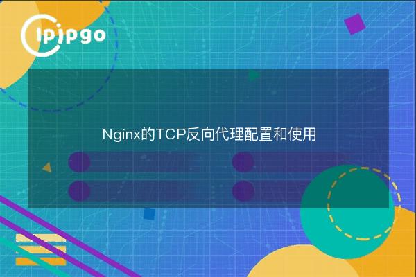 TCP Reverse Proxy Configuration and Use for Nginx - IPIPGO
