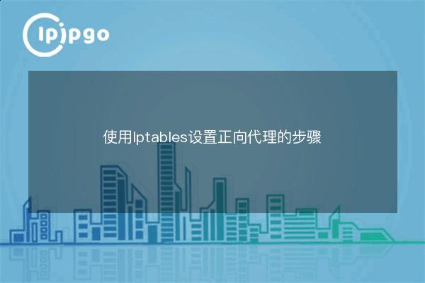 Steps to set up a forward proxy with Iptables - IPIPGO