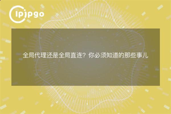 全局代理还是全局？你必须知道的那些事儿 - IPIPGO