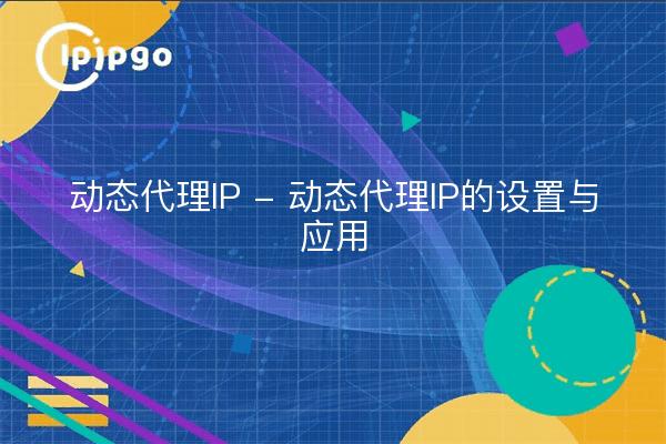 Dynamische Proxy-IP - Dynamische Proxy-IP-Einstellungen und Anwendungen