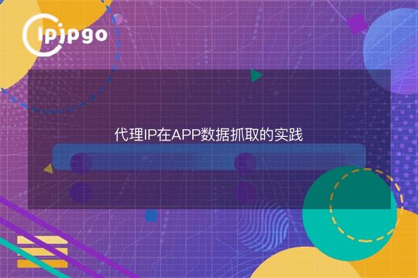Proxy IP in APP Data Crawling Practice - IPIPGO