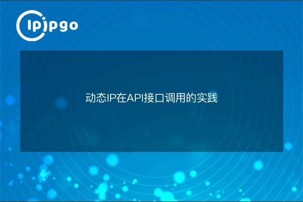 Dynamic IP in API interface call practice - IPIPGO