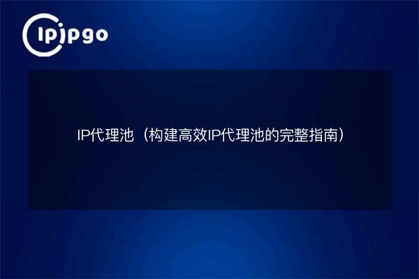 IP代理池(构建高效IP代理池的完整指南) - IPIPGO