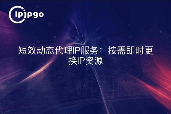 短效动态代理IP服务:按需即时更换IP资源