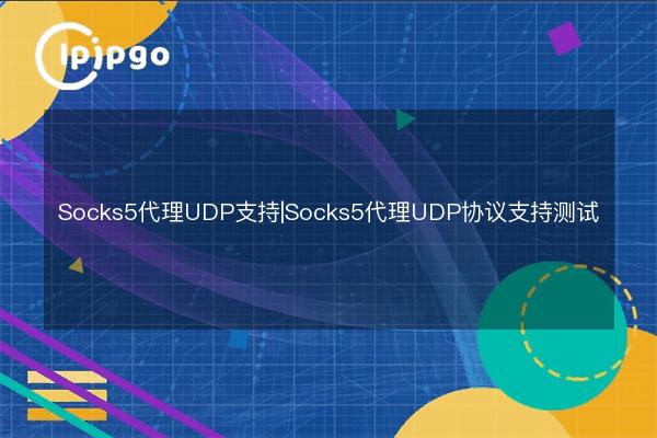 Socks5 Proxy UDP Support | Socks5 Proxy UDP Protocol Support Test - IPIPGO