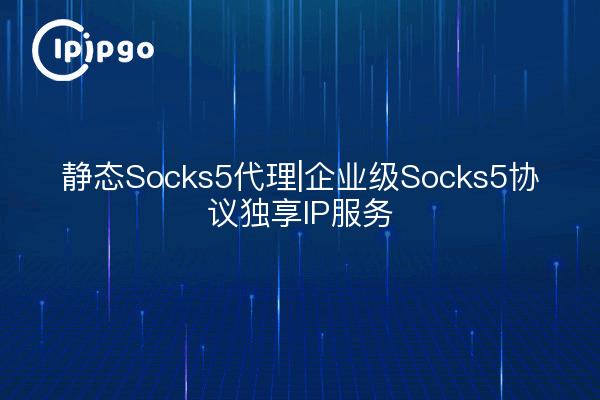 Static Socks5 Proxy|Enterprise Socks5 Protocol Dedicated IP Service