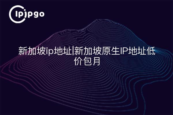 新加坡ip地址|新加坡原生IP地址低价包月