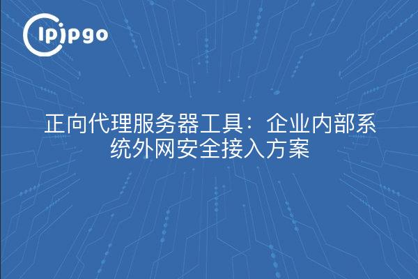 Herramienta de servidor proxy positivo: solución de acceso seguro para la extranet de los sistemas internos de la empresa