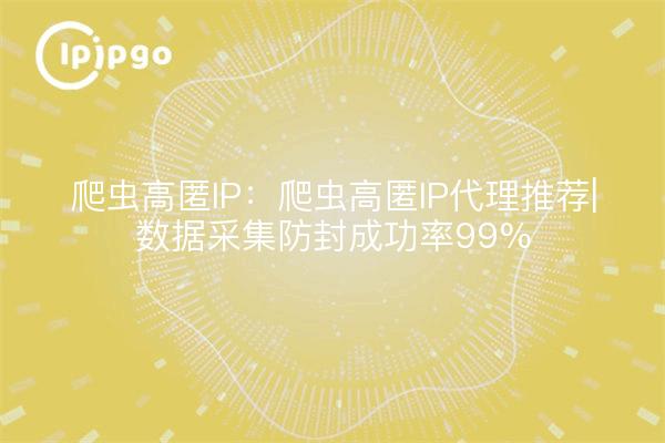 Crawler High Stash IP: Crawler High Stash IP Proxy Recommended | Data Collection Anti-Blocking Success Rate 99%