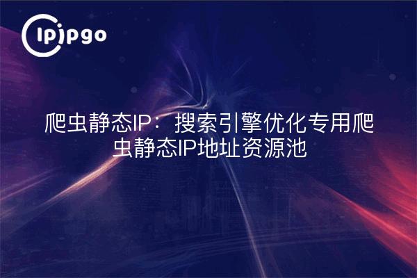 爬虫静态IP:搜索引擎优化专用爬虫静态IP地址资源池
