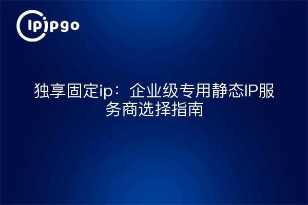 独享固定ip:企业级专用静态IP服务商选择指南