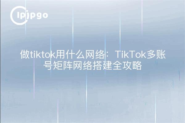 做tiktok用什么网络:TikTok多账号矩阵网络搭建全攻略