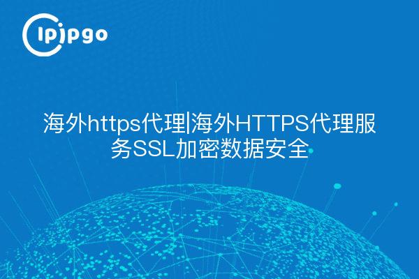 Inländischer https-Proxy | Inländischer HTTPS-Proxy-Dienst SSL-Verschlüsselung Datensicherheit