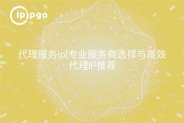 Proxy service ip|Sélection d'un fournisseur de services professionnel et recommandation d'un proxy IP efficace