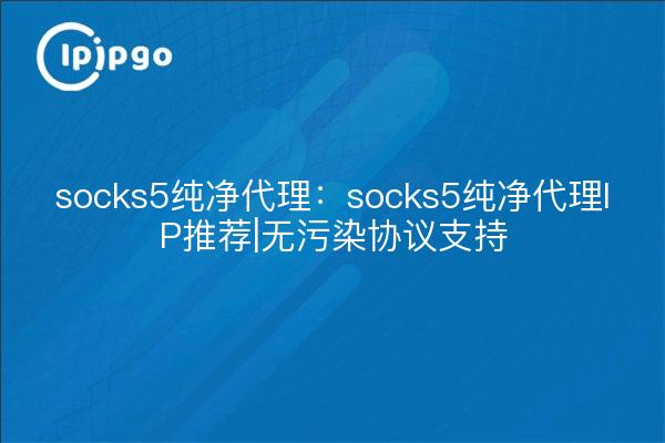 socks5 Pure Proxy: socks5 Pure Proxy IP Recommendation|No Pollution Protocol Support