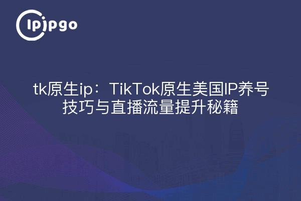 tk原生ip：TikTok原生美国IP养号技巧与直播流量提升秘籍