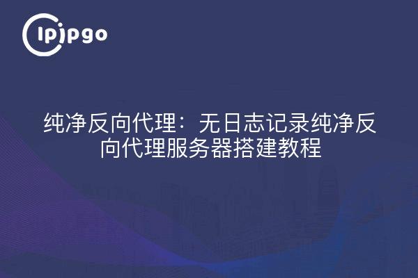 纯净反向代理:无日志记录纯净反向代理服务器搭建教程