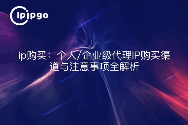 ip购买:个人/企业级代理IP购买渠道与注意事项全解析