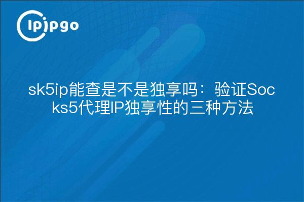 sk5ip能查是不是独享吗：验证Socks5代理IP独享性的三种方法