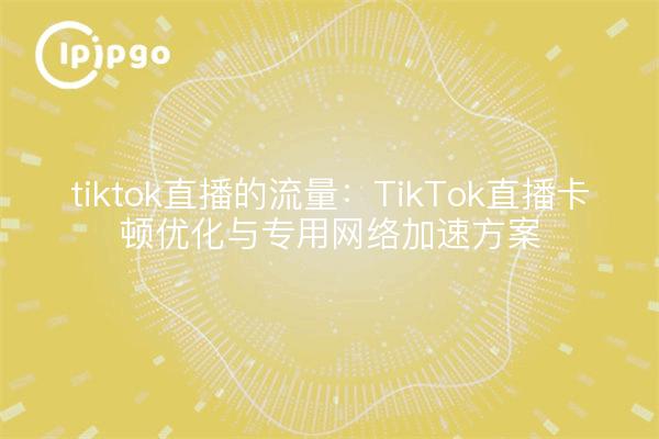 tiktok直播的流量:TikTok直播卡顿优化与专用网络加速方案