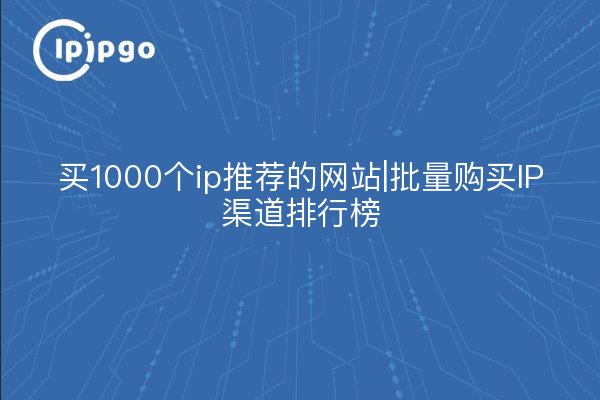 1000 empfohlene IP-Seiten kaufen | Liste der Kanäle für den Großeinkauf von IP