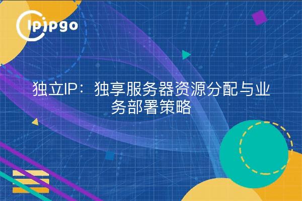 Dedicated IP: Dedicated Server Resource Allocation and Business Deployment Strategy