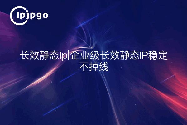 IP statique longue durée|Entreprise IP statique longue durée stable sans perte de ligne