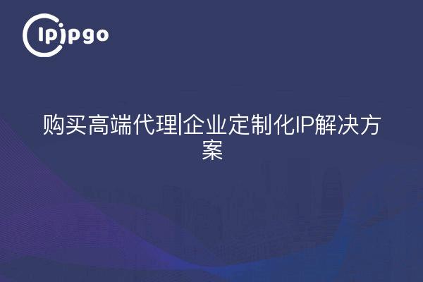 Buy High-End Proxy|Enterprise Customized IP Solutions