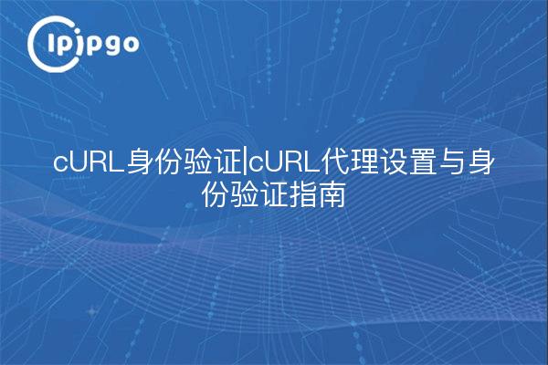 cURL-Authentifizierung - Anleitung zur Einrichtung und Authentifizierung des cURL-Proxys