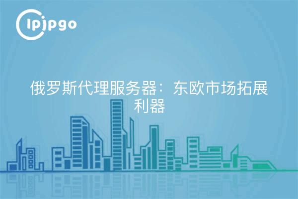 俄罗斯代理服务器：东欧市场拓展利器
