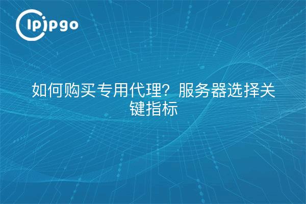 如何购买专用代理?服务器选择关键指标
