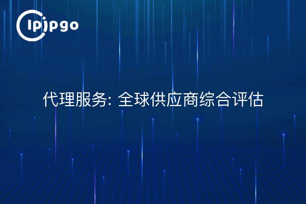 代理服务: 全球供应商综合评估