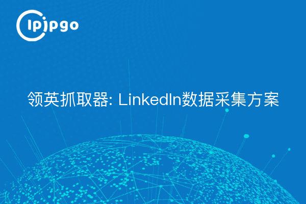 LinkedIn Grabber : Solution de capture de données LinkedIn