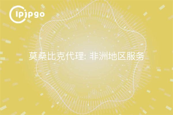 Vertretung in Mosambik: Dienstleistungen in Afrika