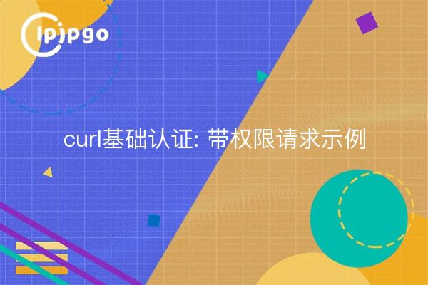 Curl Basic Authentication: Example of a request with permissions