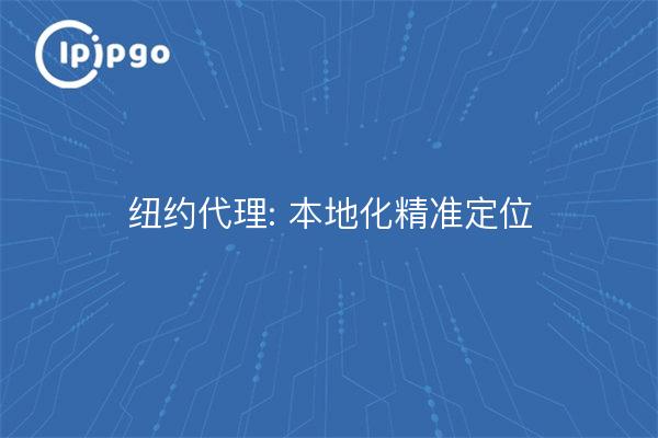 New York Agencies: Localized Precision Targeting