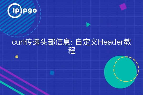 curl传递头部信息: 自定义Header教程