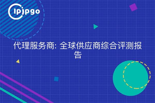 代理服务商: 全球供应商综合评测报告