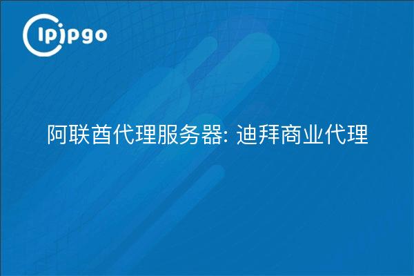 Serveurs proxy des Émirats arabes unis : Dubai Business Proxy