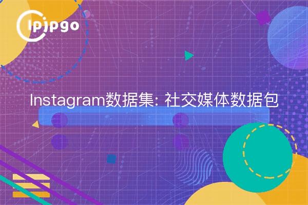 Instagram-Datensatz: Datenblatt für soziale Medien