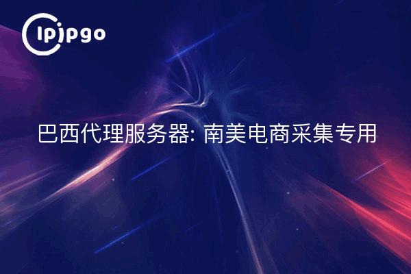 巴西代理服务器: 南美电商采集专用